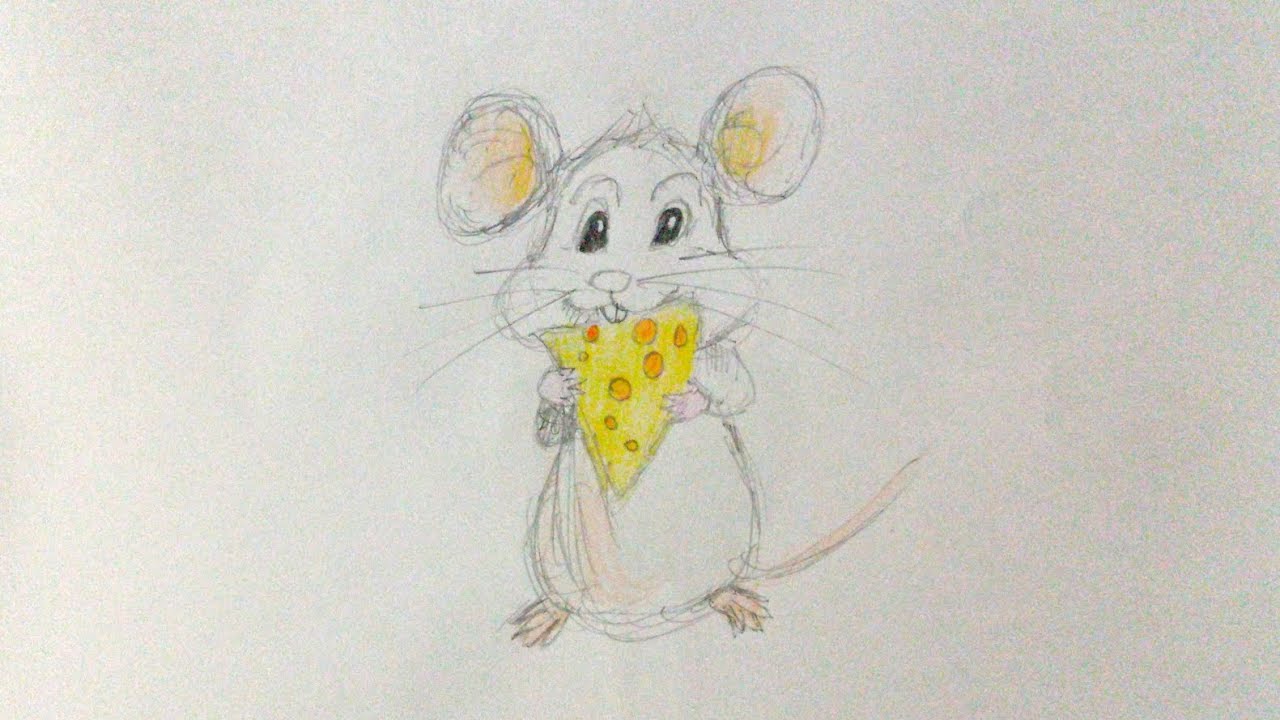 วาดตัวการ์ตูนหนู