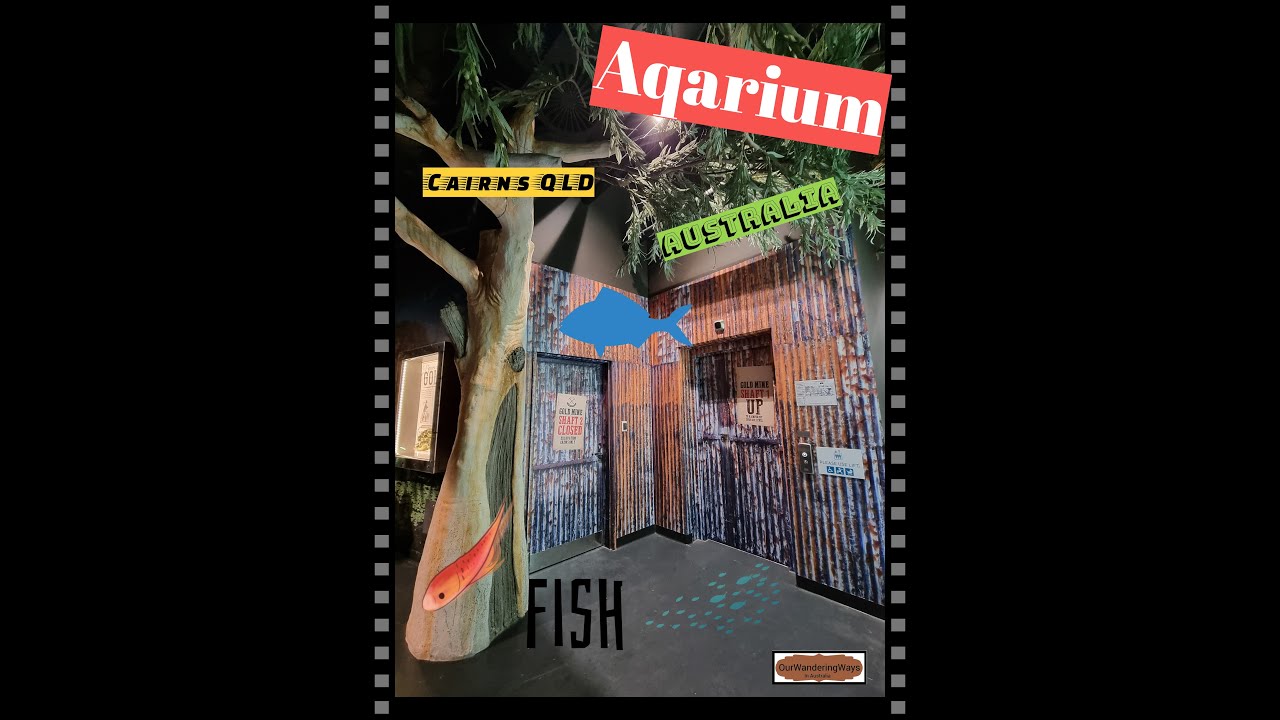 Cairns Aquarium 2024. Queensland Australia