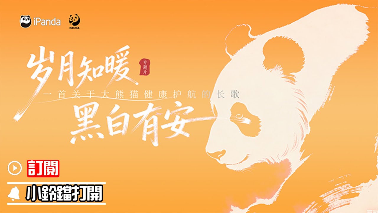 《熊貓主題趴》為大熊貓的健康護航，《歲月知暖·黑白有安》專題片上線！| iPanda熊貓頻道
