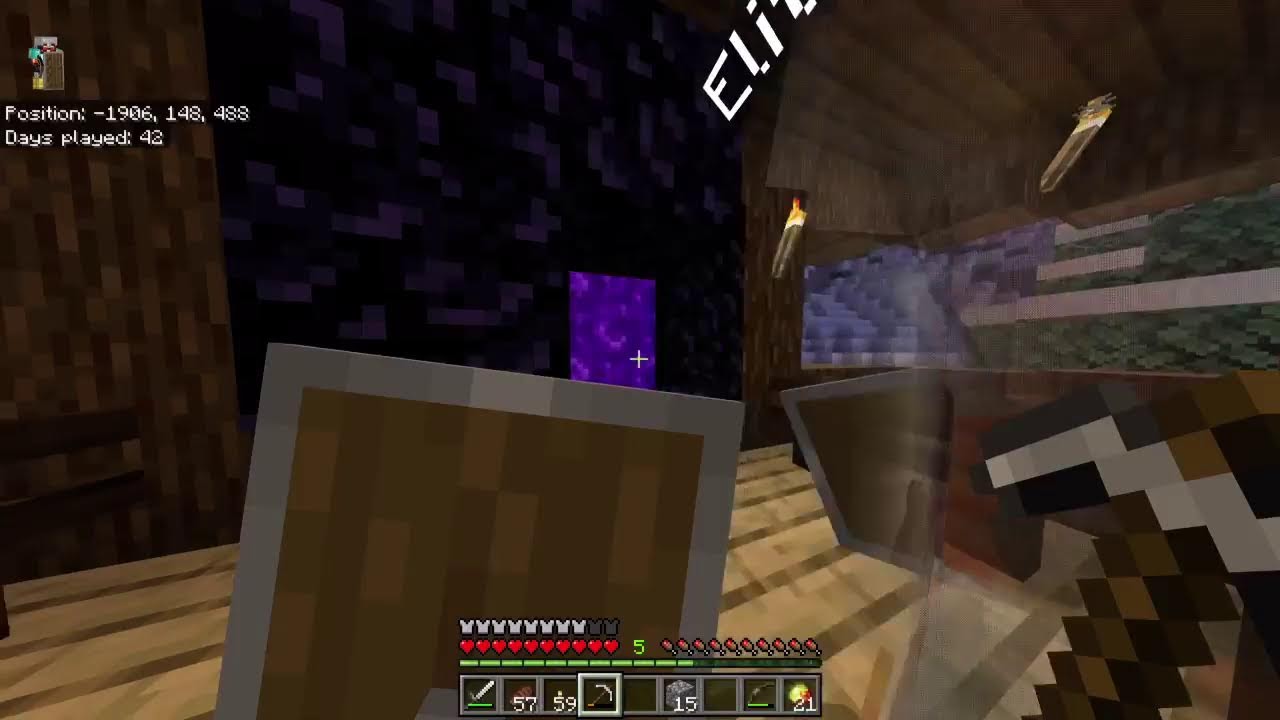 Minecraft w/Friends