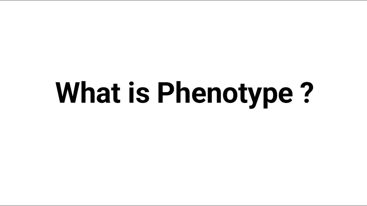 What is Phenotype ?