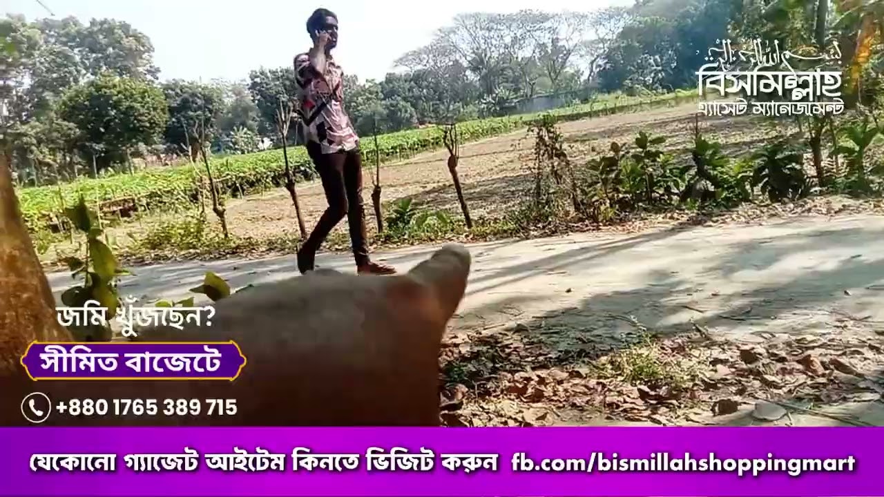 শহরের থেকে একটু দূরে, সহজ স্বপ্নের জমি খুঁজছেন?তাহলে এই সুযোগটি হতে পারে আপনার সেরা ইনভেস্টমেন্ট!