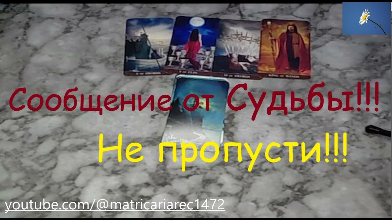 Сообщение от Судьбы! Не пропусти!‼🎁💌Таро гадание онлайн расклад
