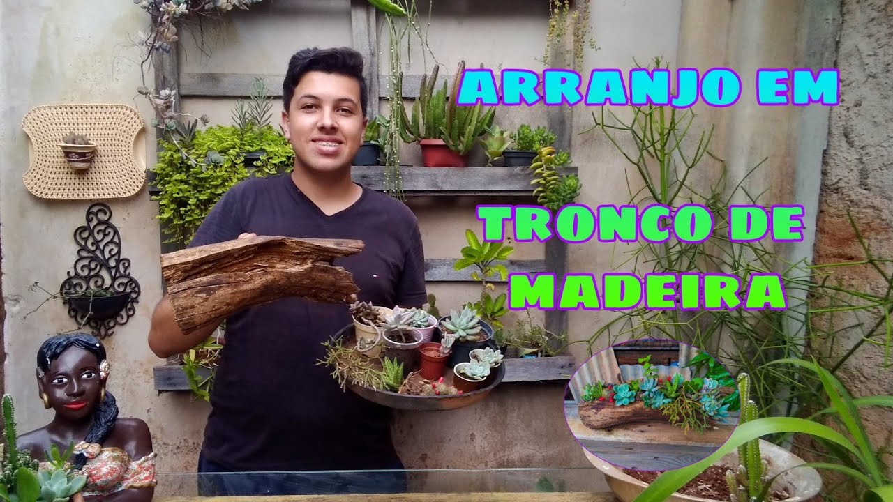 Arranjo em tronco de madeira com suculentas
