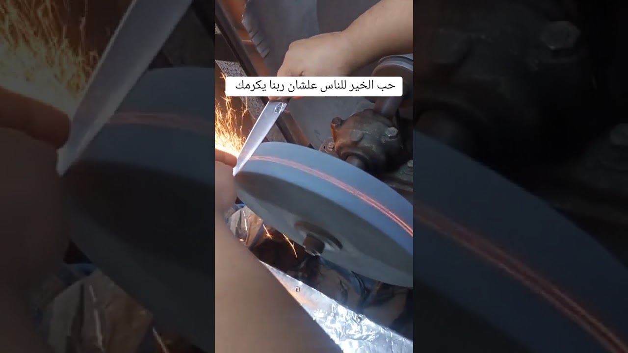 ١٦ يناير ٢٠٢٦