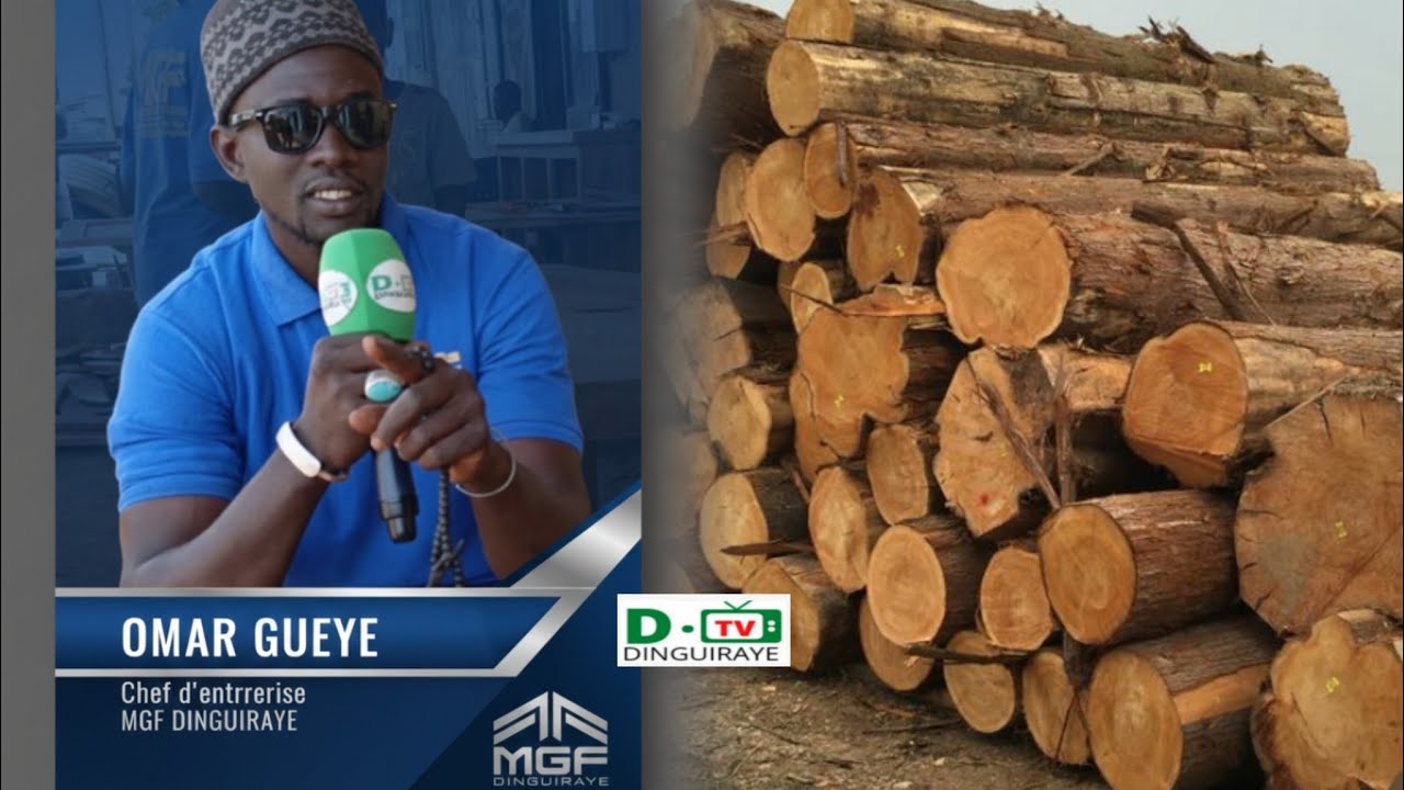 Interview : OMAR GUEYE MENUISERIE DE BOIS DINGUIRAYE