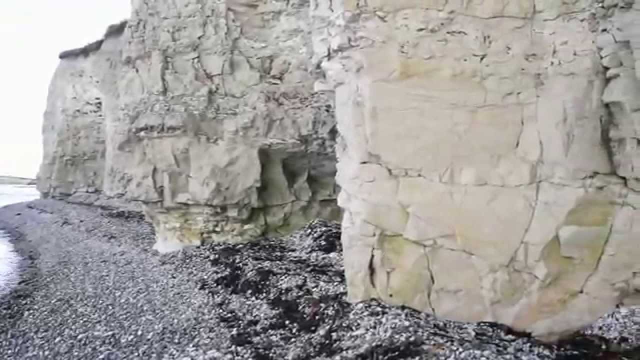 Fossils in the Cliffs/ Denmark, Djursland, Automn 2013