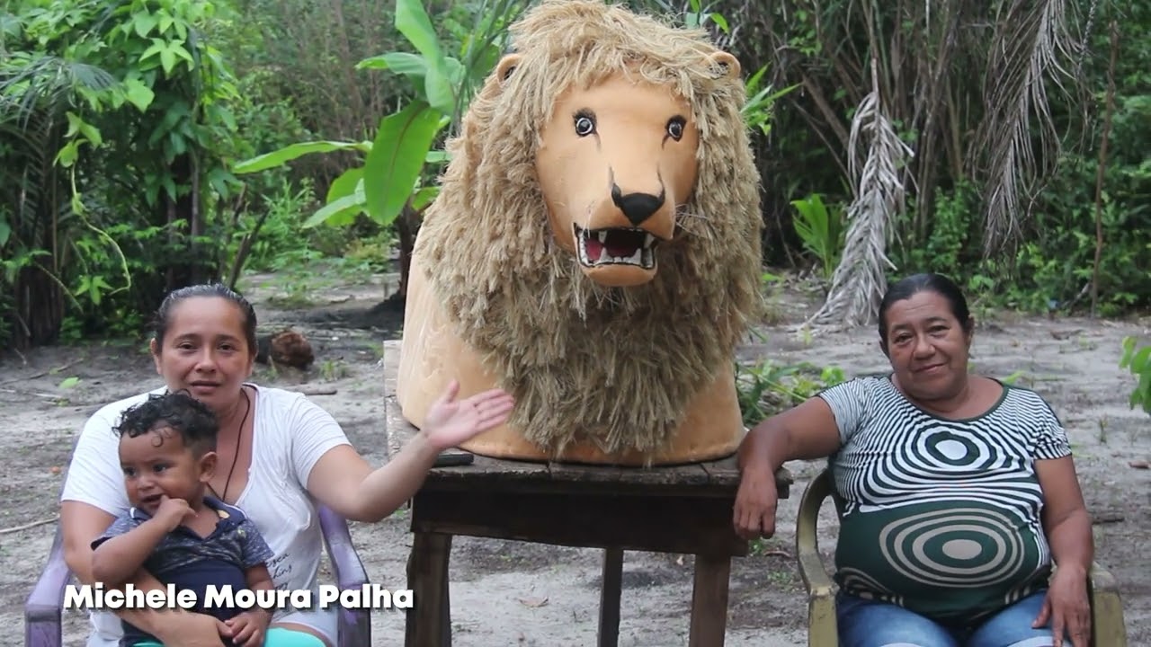 Vaca Velha e o encontro dos bois documentário