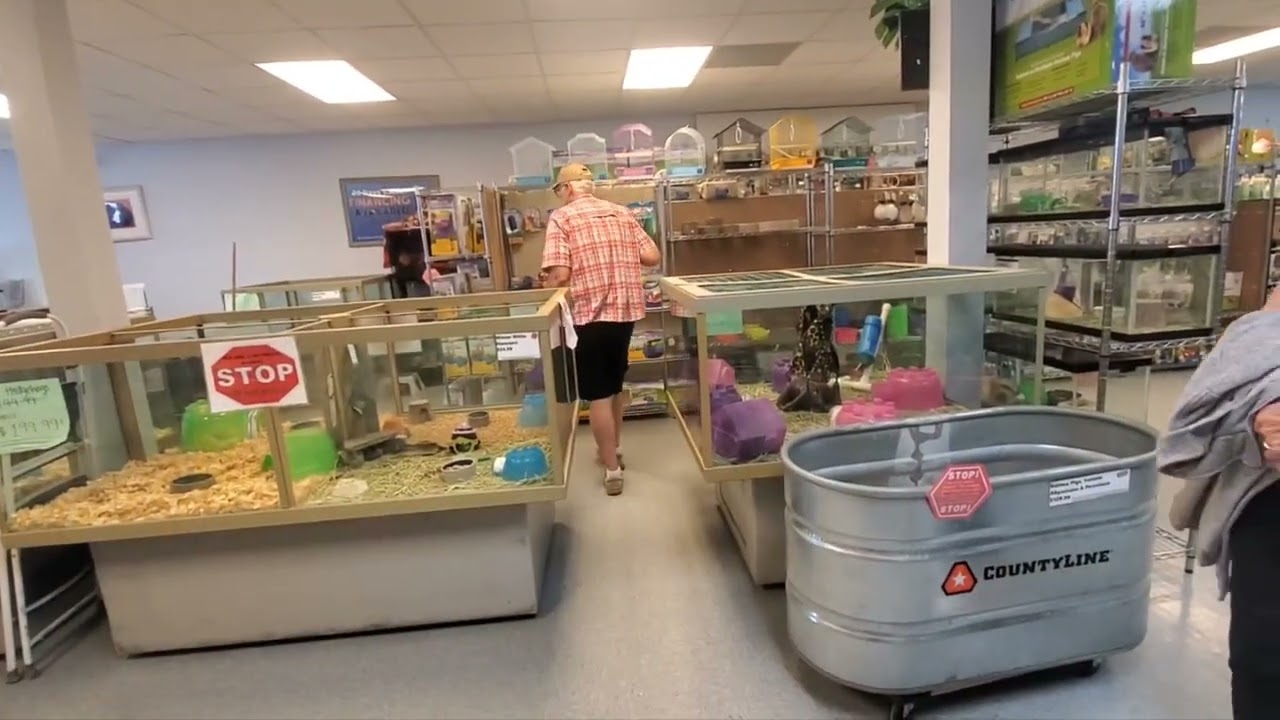 Exotic animals store in Pensacola, FL (March 2022)