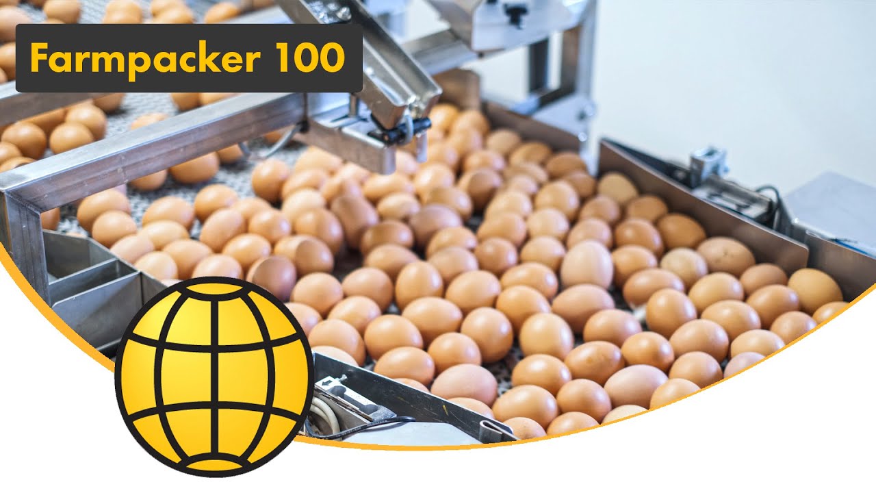 Farmpacker – Egg packing for farms – SANOVO Farmpacker 100