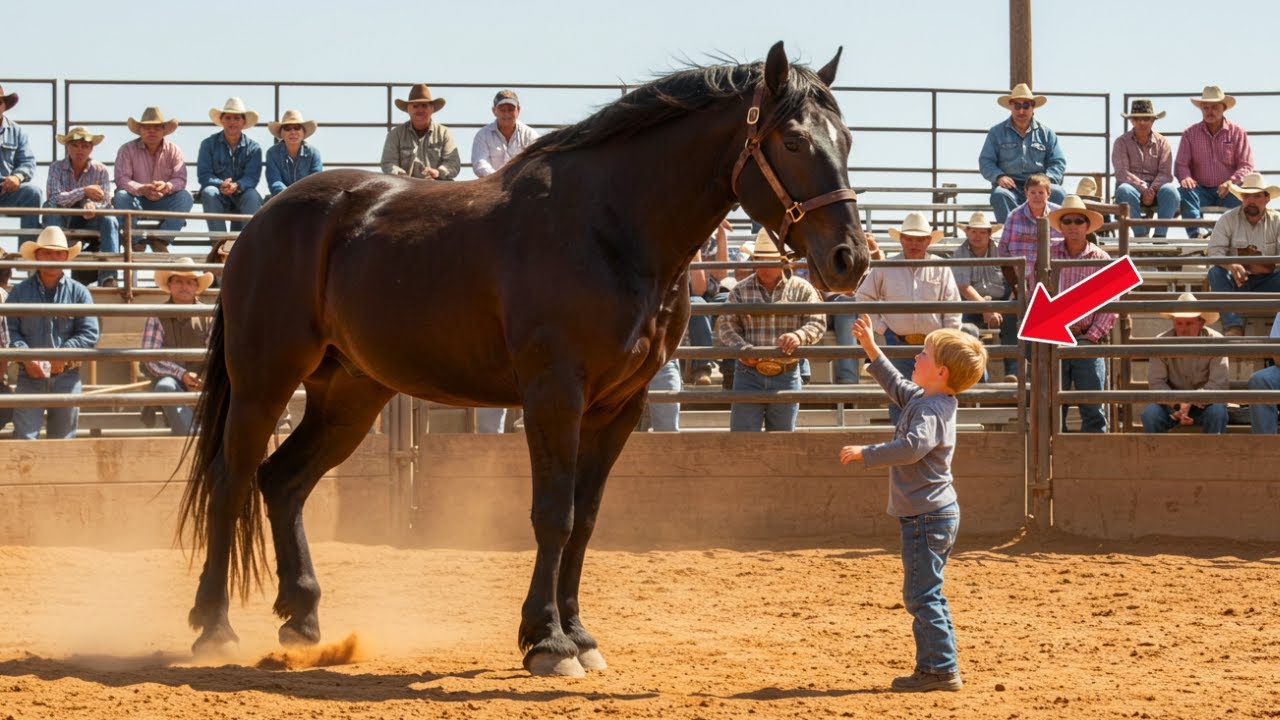 They Called Him a Monster at the Auction—Until a Boy Touched His Forehead and Everything Changed!