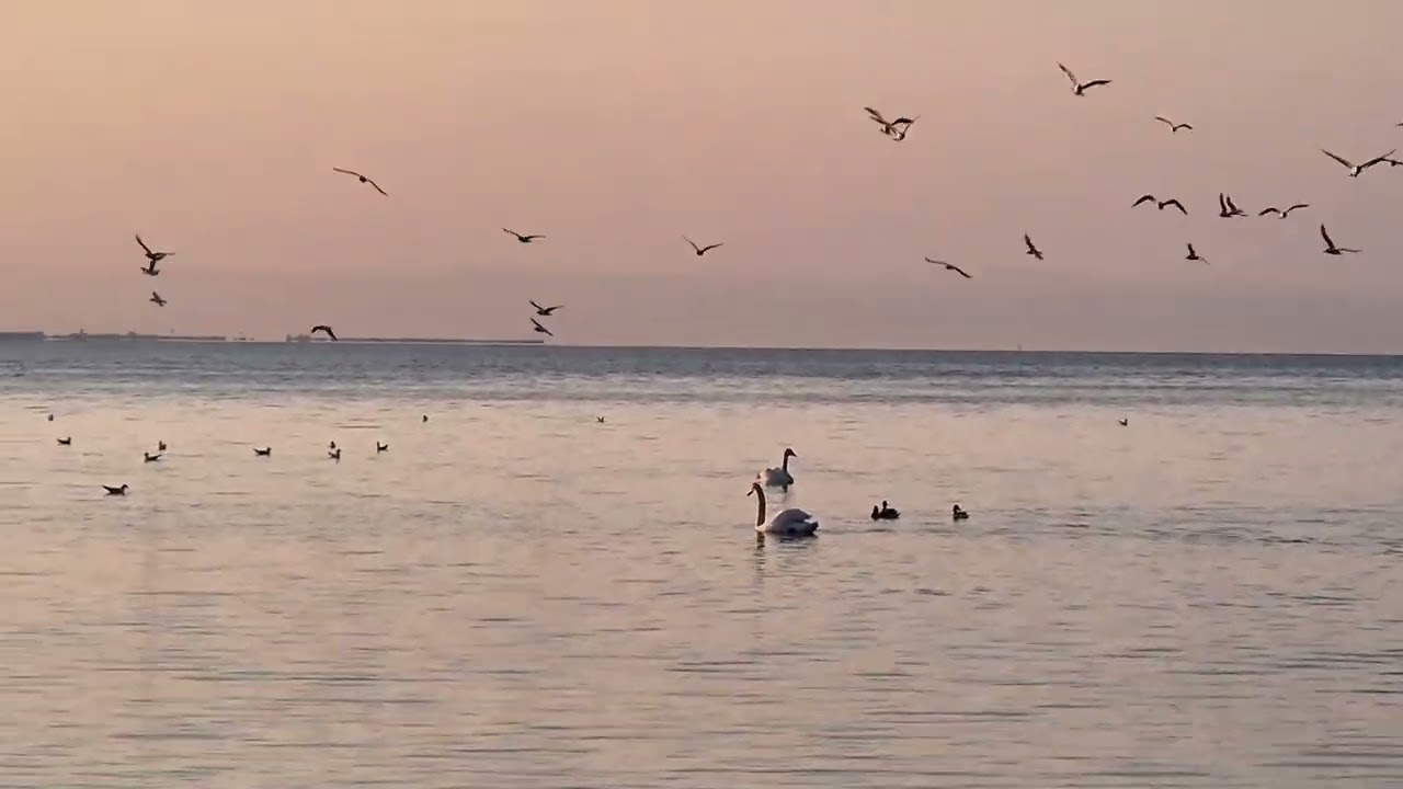 „Czy Twoja intencja ma moc? Droga do wewnętrznego domu” ✨