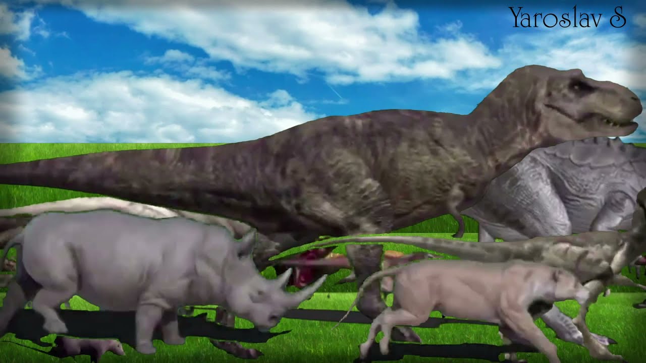 animal stampede 4