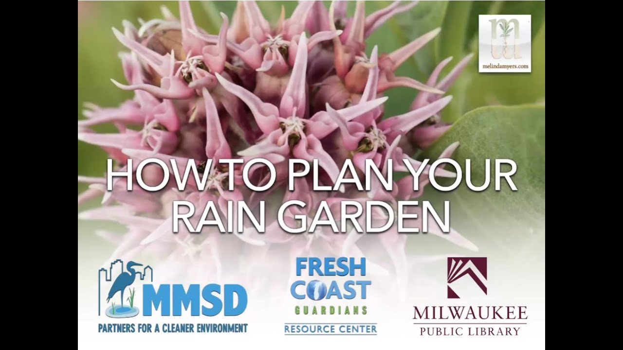 How to Plan Your Rain Garden with Melinda Myers
