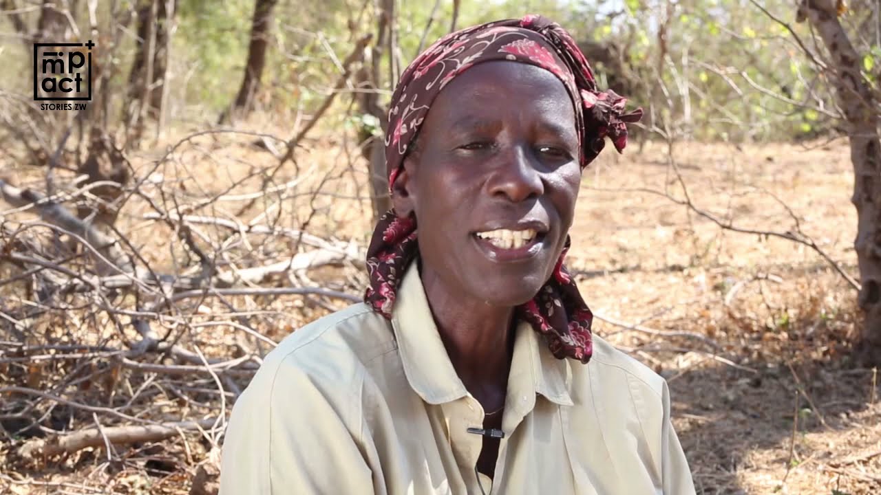 Sand Abstraction Water Systems Bring Relief to Zimbabwe’s Arid Regions