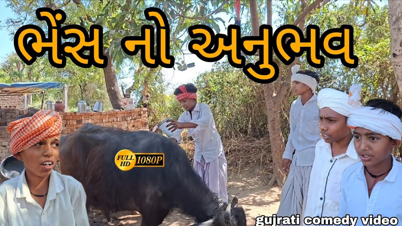 ભેંસ નો અનુભવ//Gujarati comedy video//#કોમેડી વિડિયો//(RAJBAI GROUP SAHESA)//#TRENDING VIDEO)