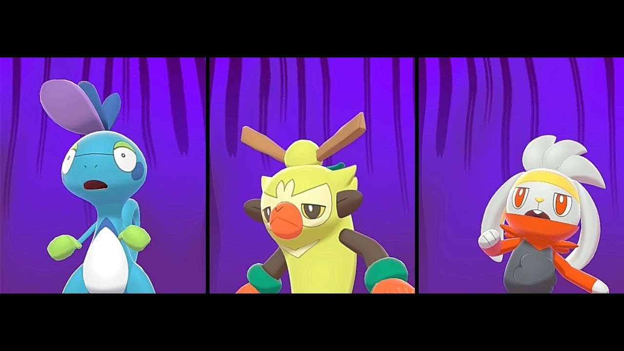 Drizzile, Thwackey, & Raboot Curry Reactions - Pokemon Sword & Shield