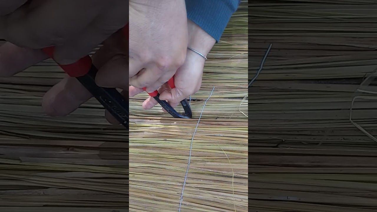 Techo de paja..