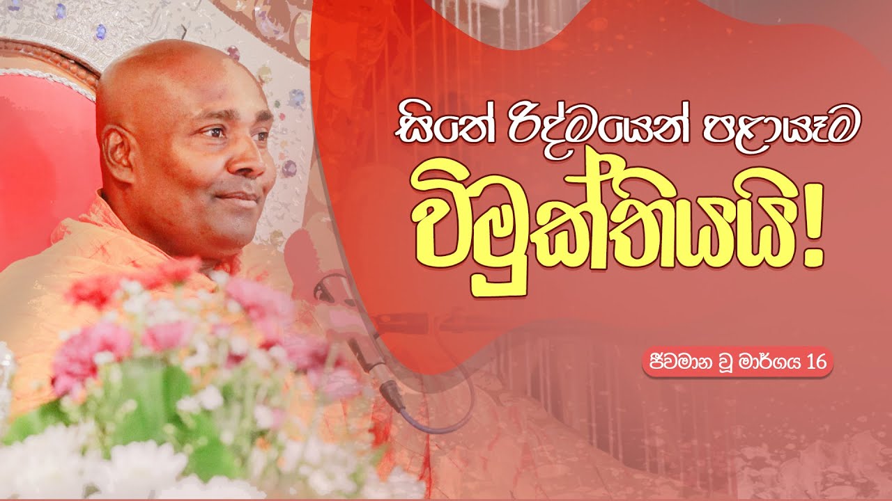 ජීවමාන වූ මාර්ගය 16 | සිතේ රිද්මයෙන් පළායෑම විමුක්තියයි!