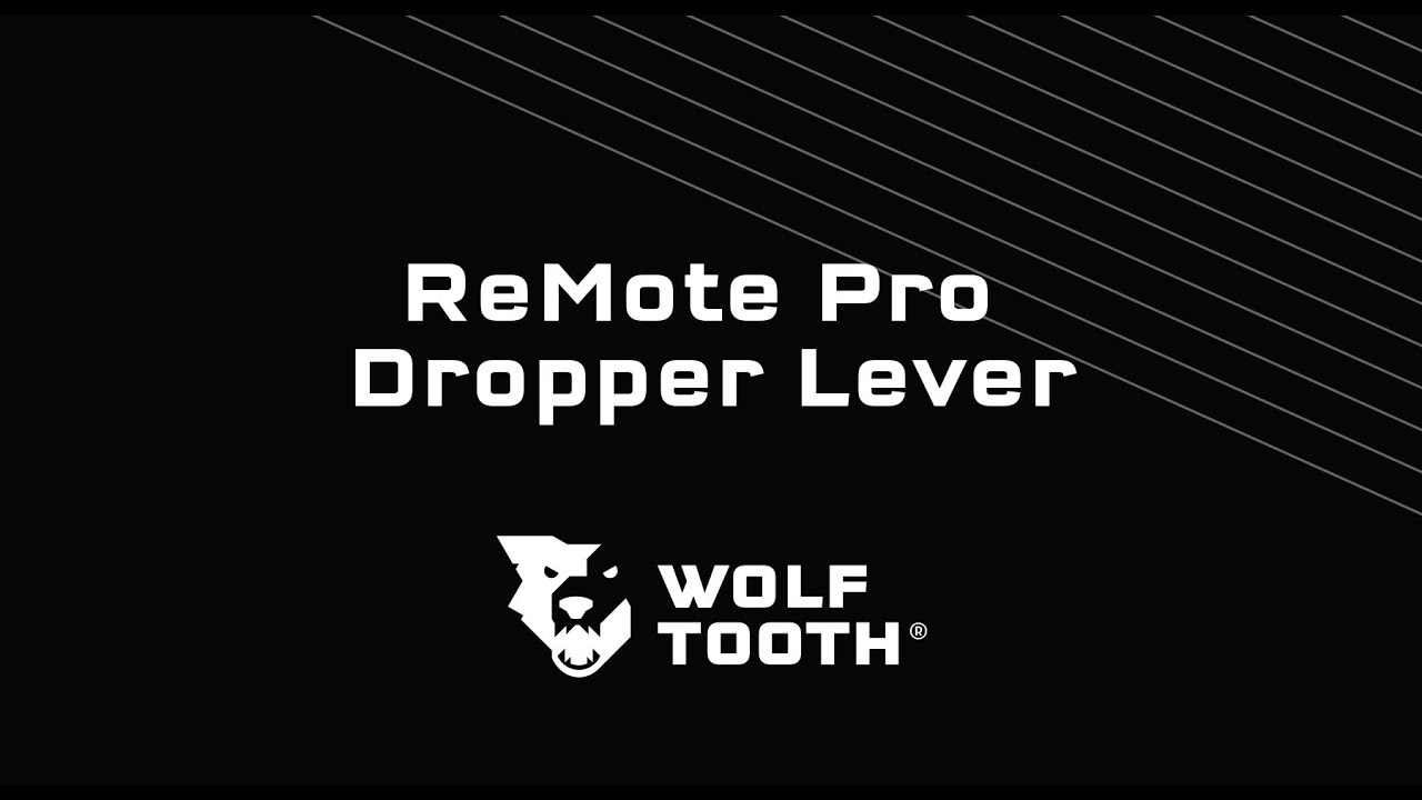 ReMote Pro