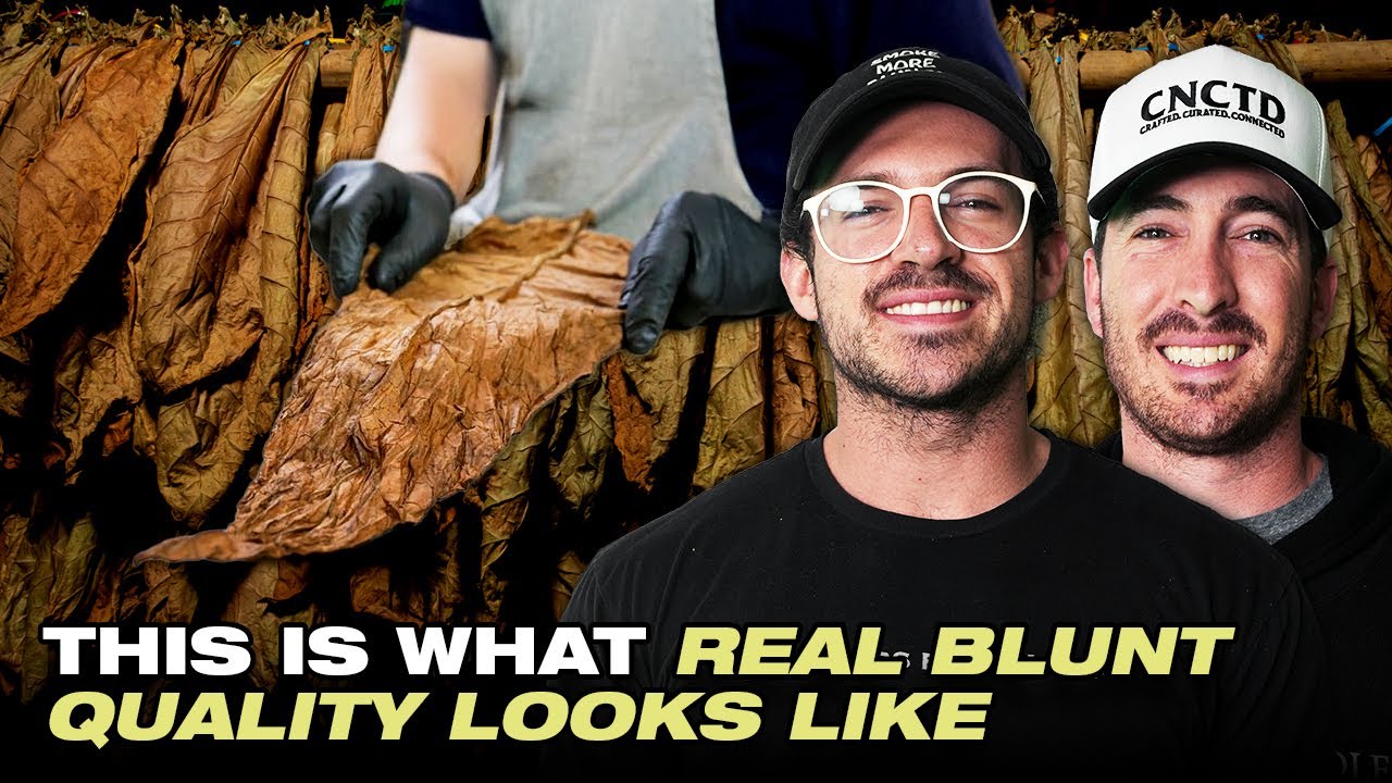 What Other Blunt Brands Don&rsquo;t Want You to See&hellip;