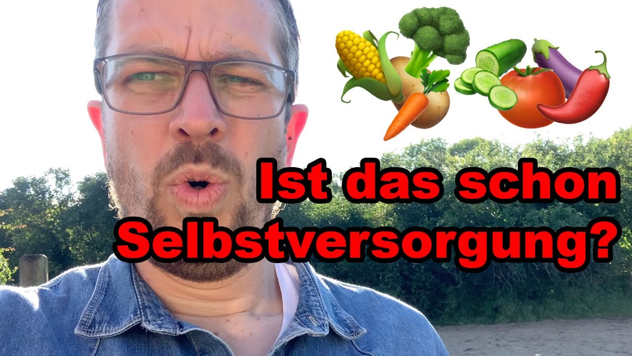 Ist das ein Selbstversorgergarten? Nutzgarten ! Gartenjahr 2022 ! Gem&uuml;segarten ! tobiebel