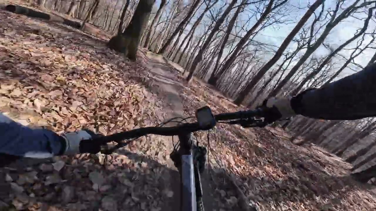 Petarda, Las Wolski, Kraków #mtb 