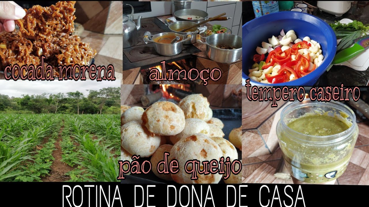 VLOG DE ROTINA | COMO ESTÃO NOSSAS LAVOURAS🌱? FIZ COCADA MORENA/PÃO DE QUEIJO/ALMOÇO/TEMPERO CASEIRO
