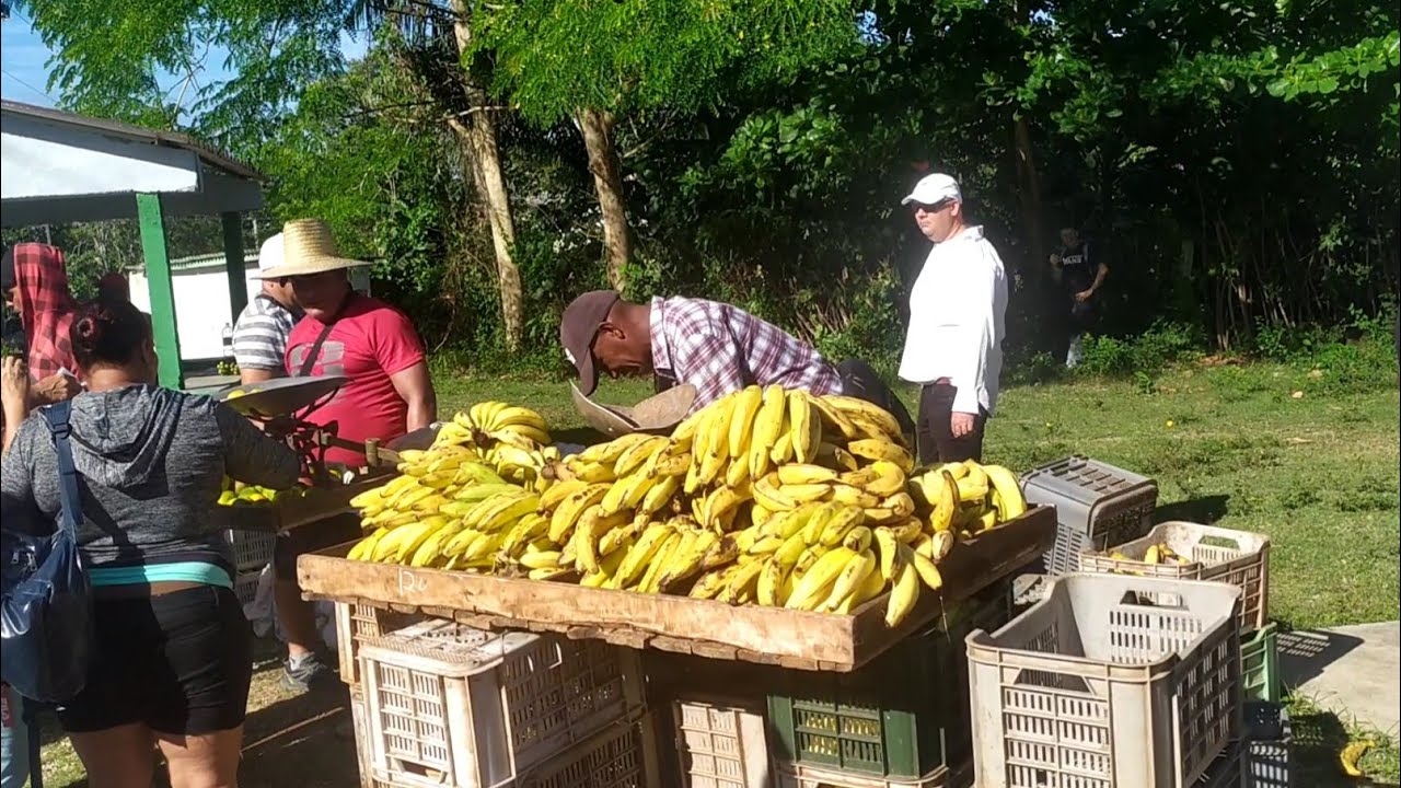 ¿Cuánto compro con 100 pesos en Cuba?@RecetaCubana @LettyCaballero