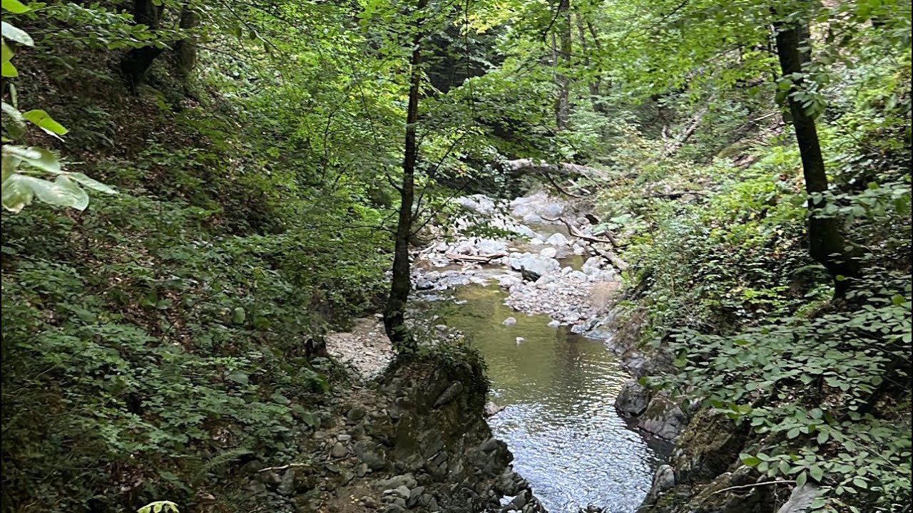 فيروز الصباح | مناظر من الطبيعة الخلابة 🌿🍃