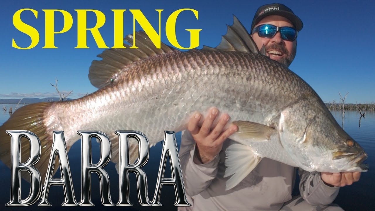 Гигантский BARRAMUNDI на Topwater и Active Target/Livescope