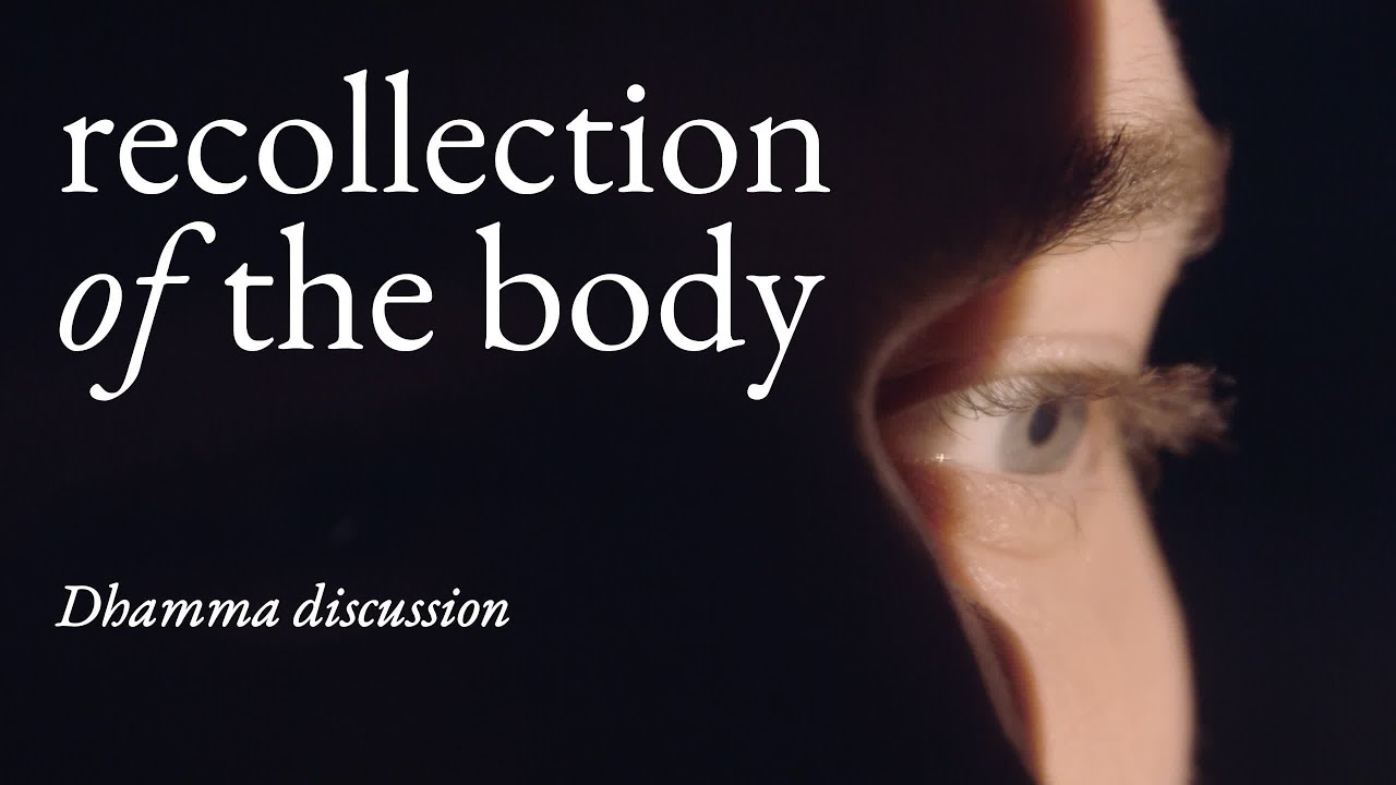 Why Your Body Is Like an 'Empty Village' | Guided Contemplation