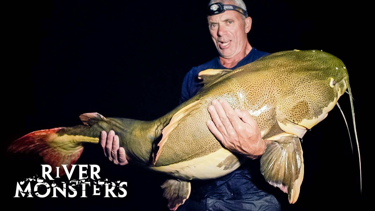 EXTRAORDINARY Fish Caught In The Darkness Of NIGHT | River Monsters