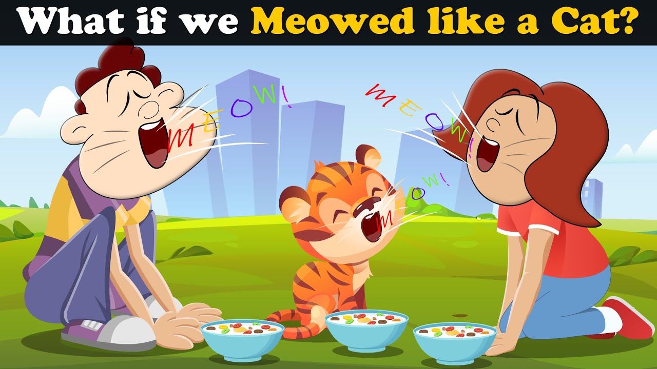 What if we Meowed like a Cat? + more videos | #aumsum #kids #children #education #whatif