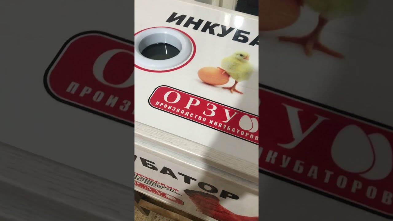 Инкубатор орзу