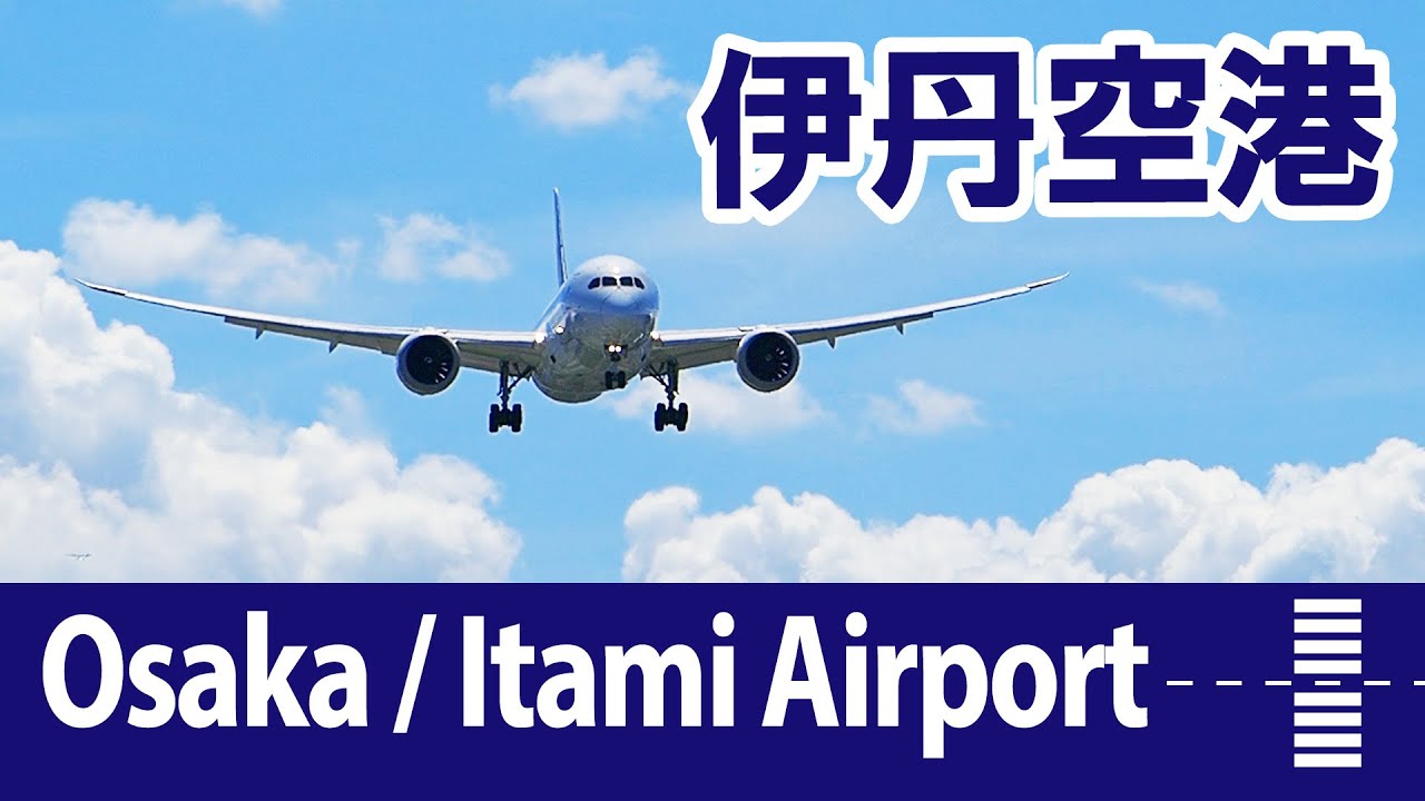 伊丹空港・飛行機動画 ／ Osaka / Itami Airport, Plane Spotting ／ Summer Sky 2024 ／ JAPAN （大阪国際空港・千里川土手）