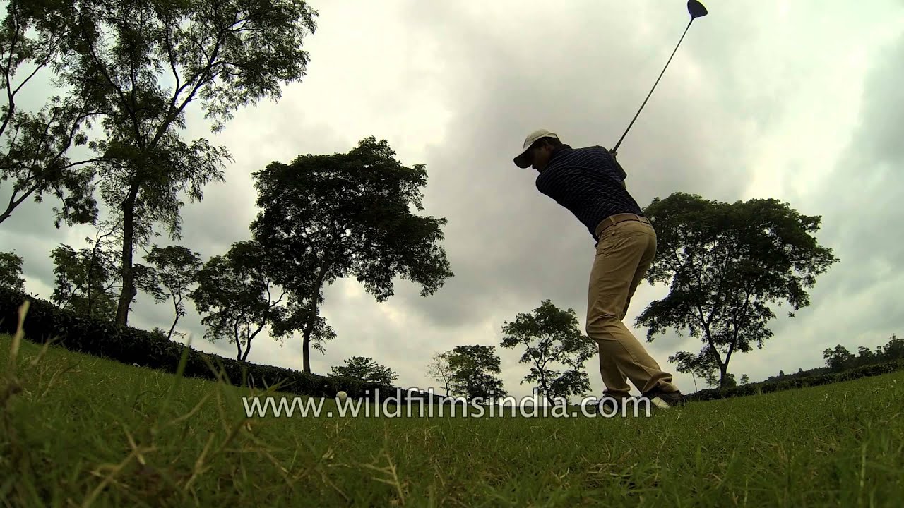 Teeing off in a tea garden in north-east India