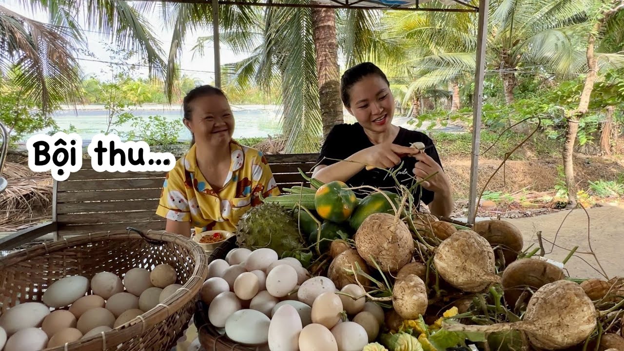 Ngày thu hoạch bất ổn, MƯA TẦM TÃ MÀ THU HOẠCH ĐÃ LUÔN, trứng, củ sắn, hoa, mướp, đu đủ, mãng cầu…