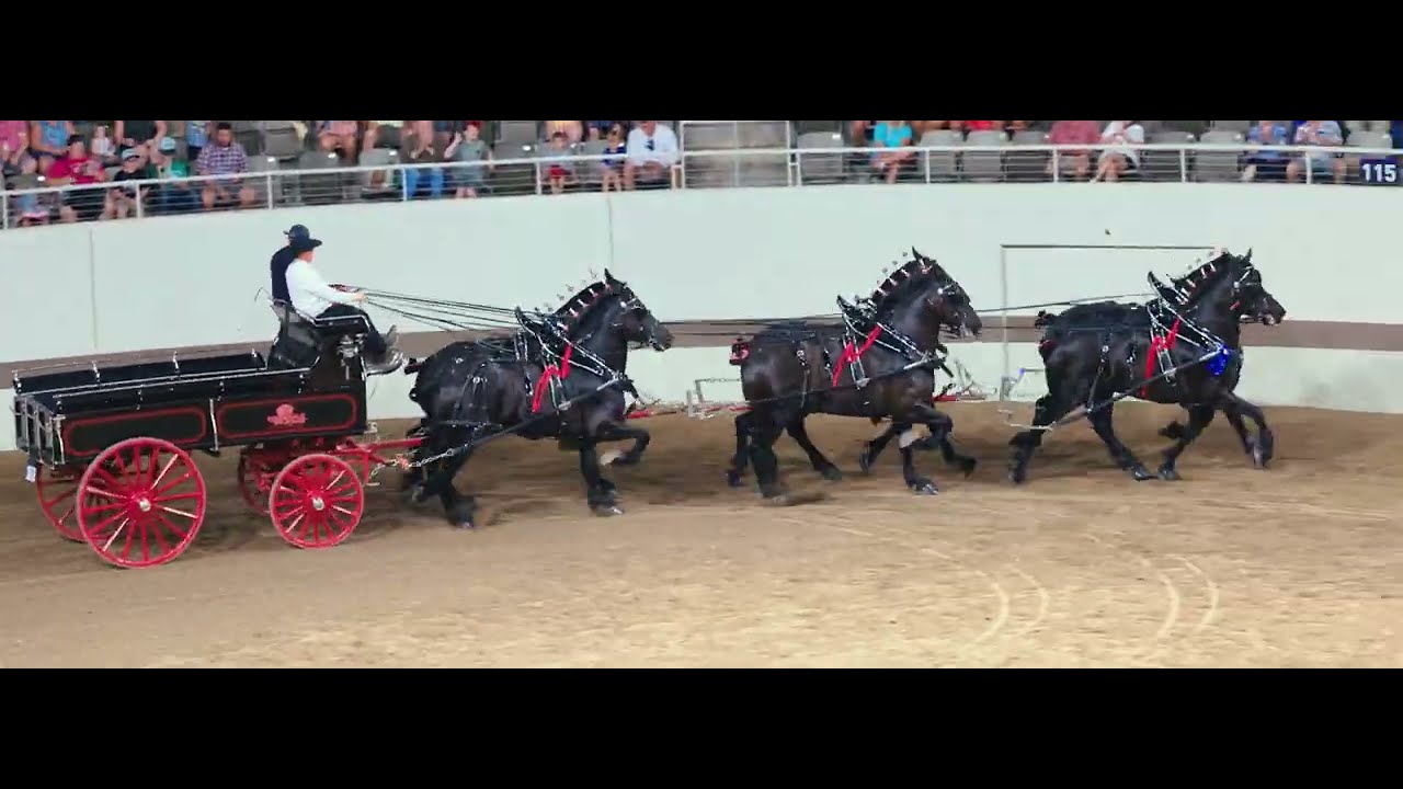 Classic Series Six Horse Hitch at the 2025 Indiana State Fair