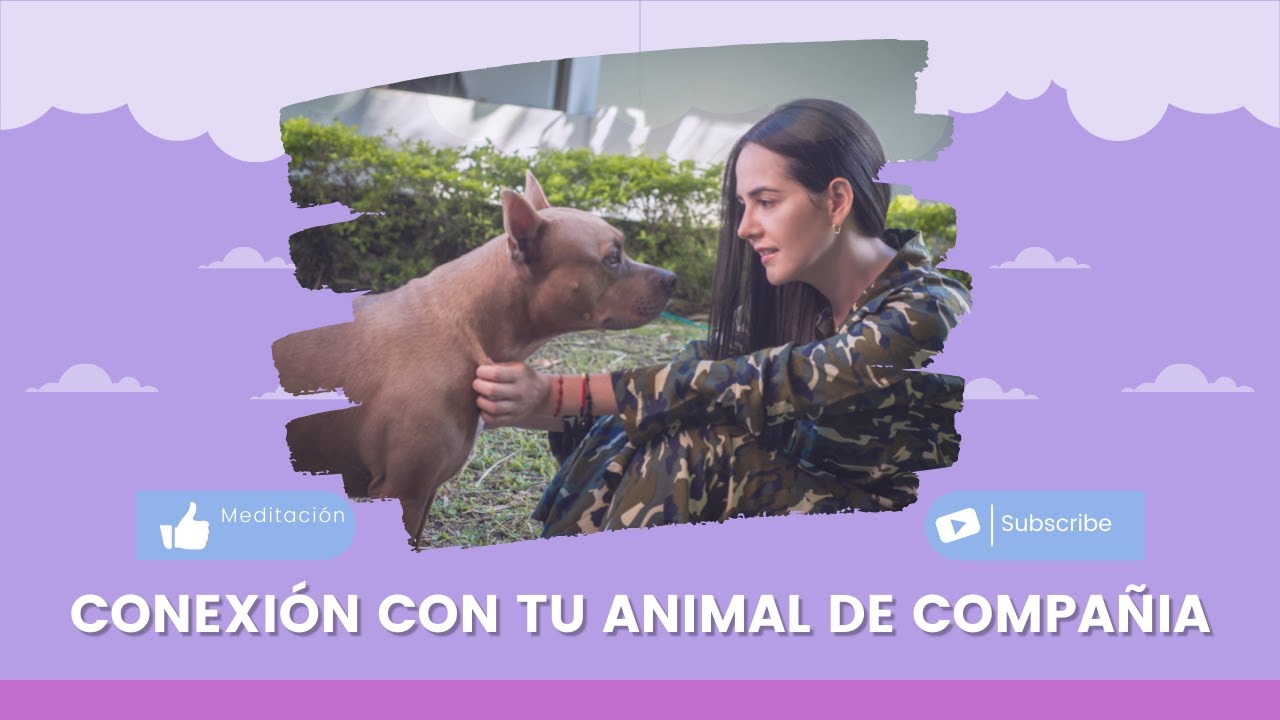 Conecta con tu animal de compa&ntilde;&iacute;a