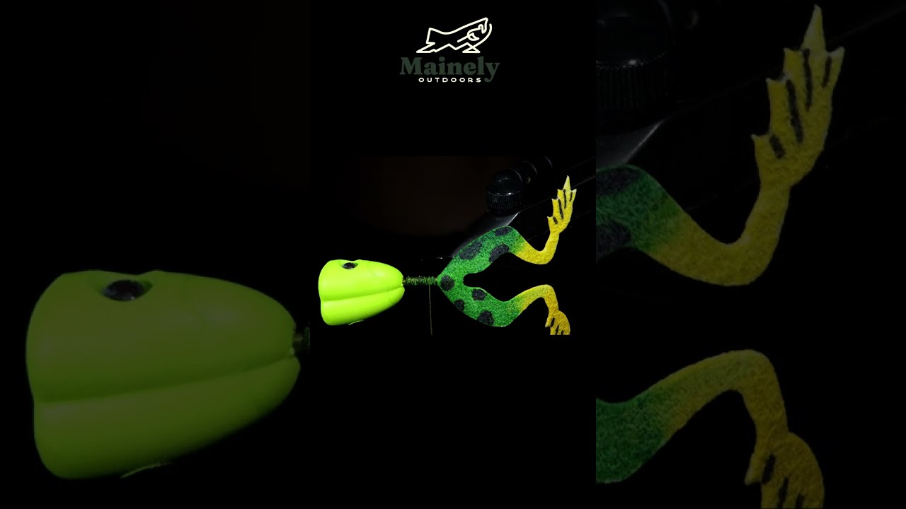 The Best Bass Fly!