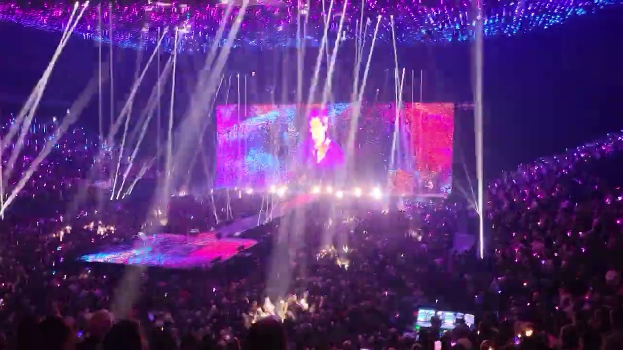 Indochine Arena Lyon le 04/02/2025 Des Fleurs pour Salinger