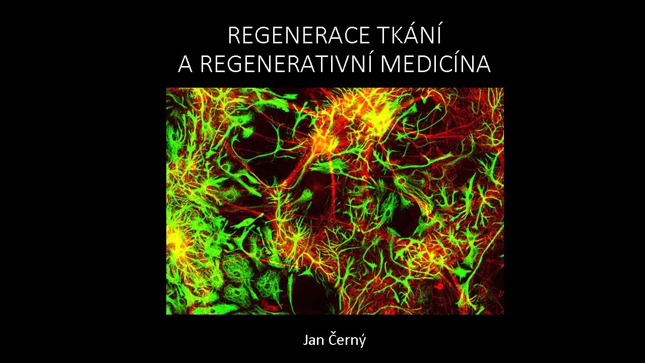 Jan Černý - Regenerace tkání a regenerativní medicína (Pokroky v biologii, PřF UK 6.4.2019)