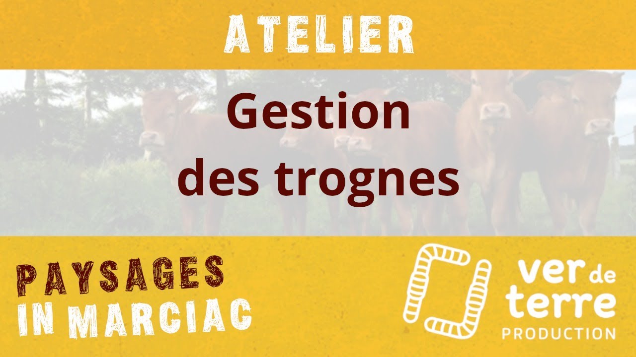 Atelier 