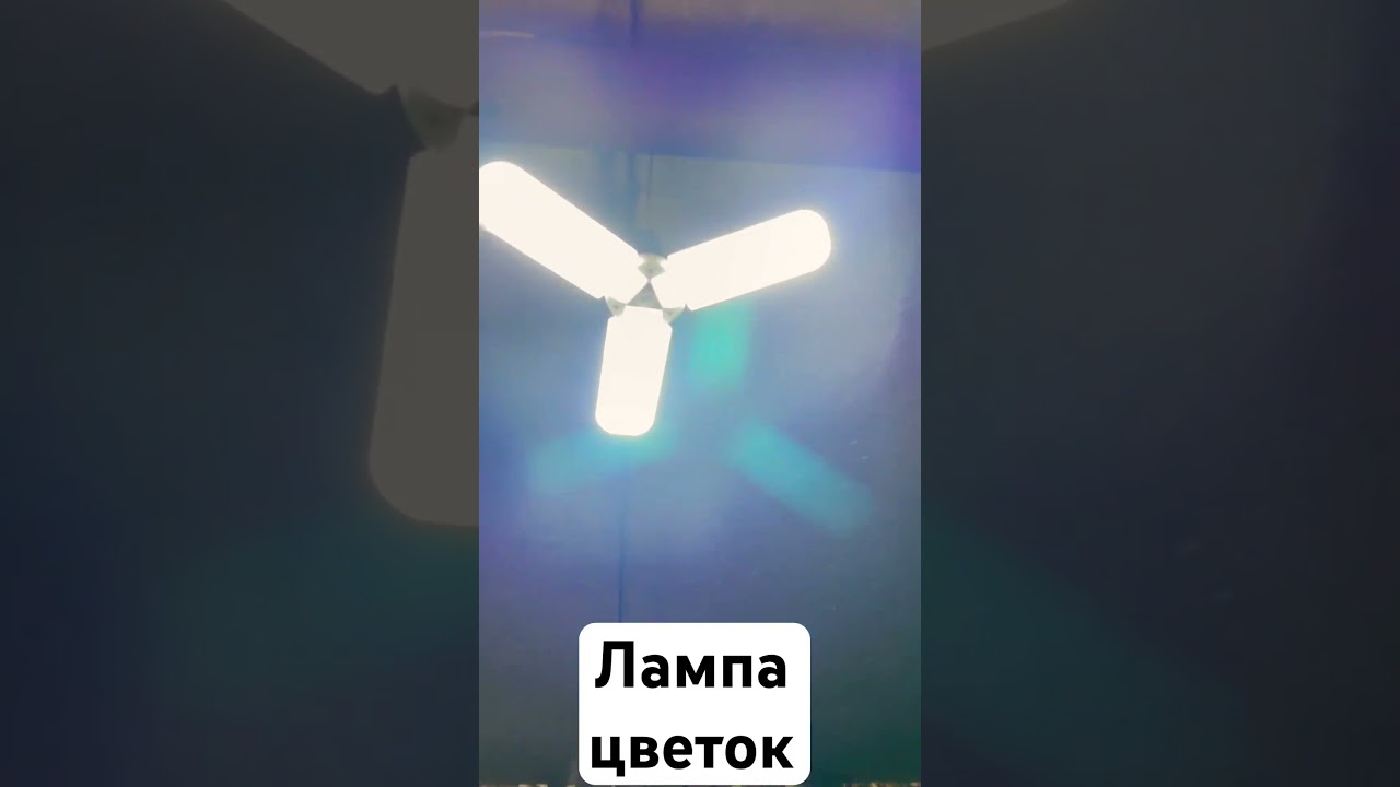 #лампа #гараж #свет #люстра #lamp #garage #light