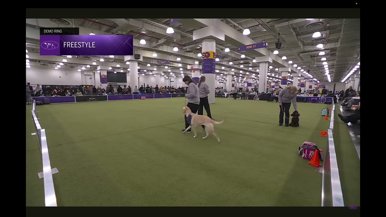 2026 Westminster Demo - 2nd Performance