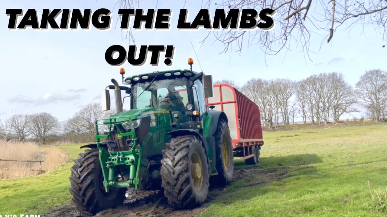 TAKING THE LAMBS OUT! SUGAR BEET SEED ARRIVES, COST OF FARMING CRISIS CONTINUES!