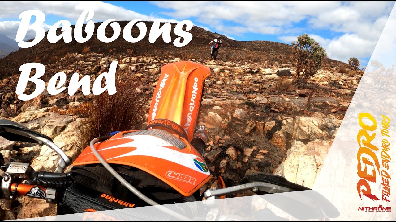 Baboons Bend