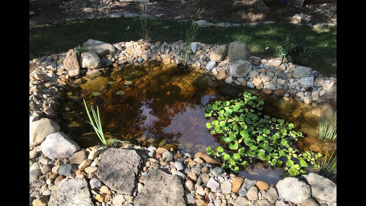 How to make a Backyard Wildlife Pond