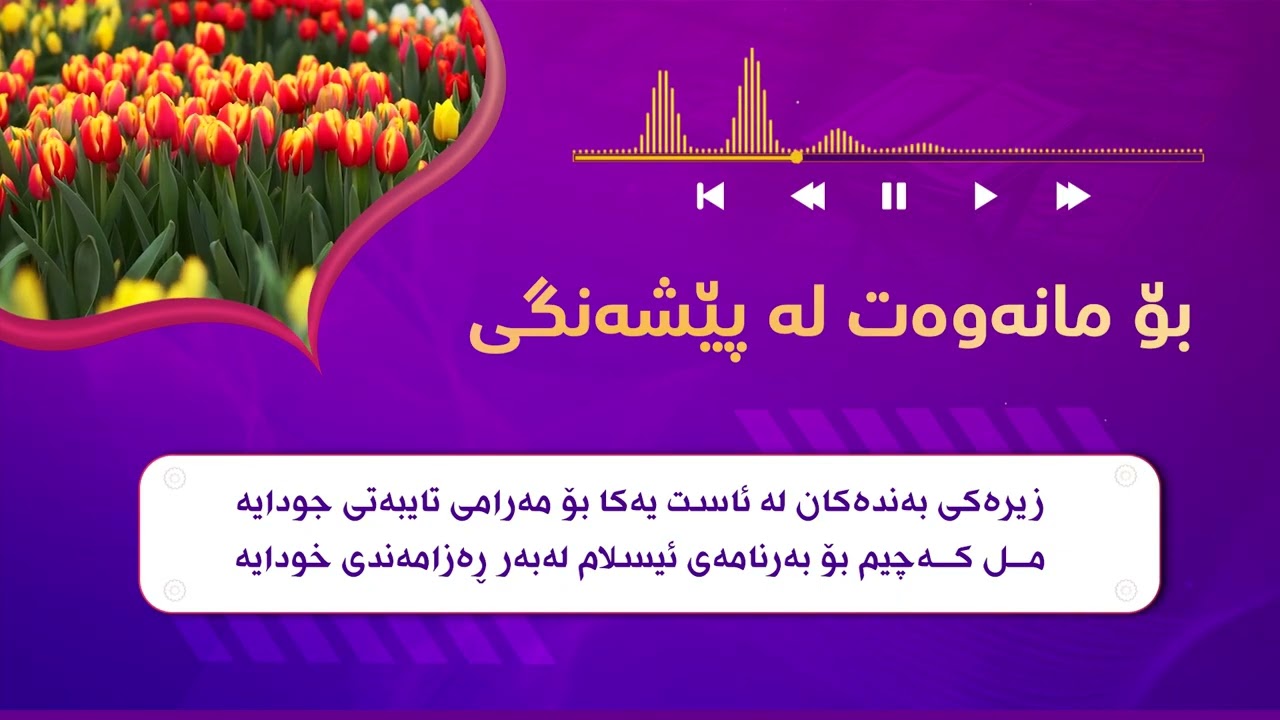 بۆ مانەوەت لە پێشەنگی چاکە، باشترین سەیوانە